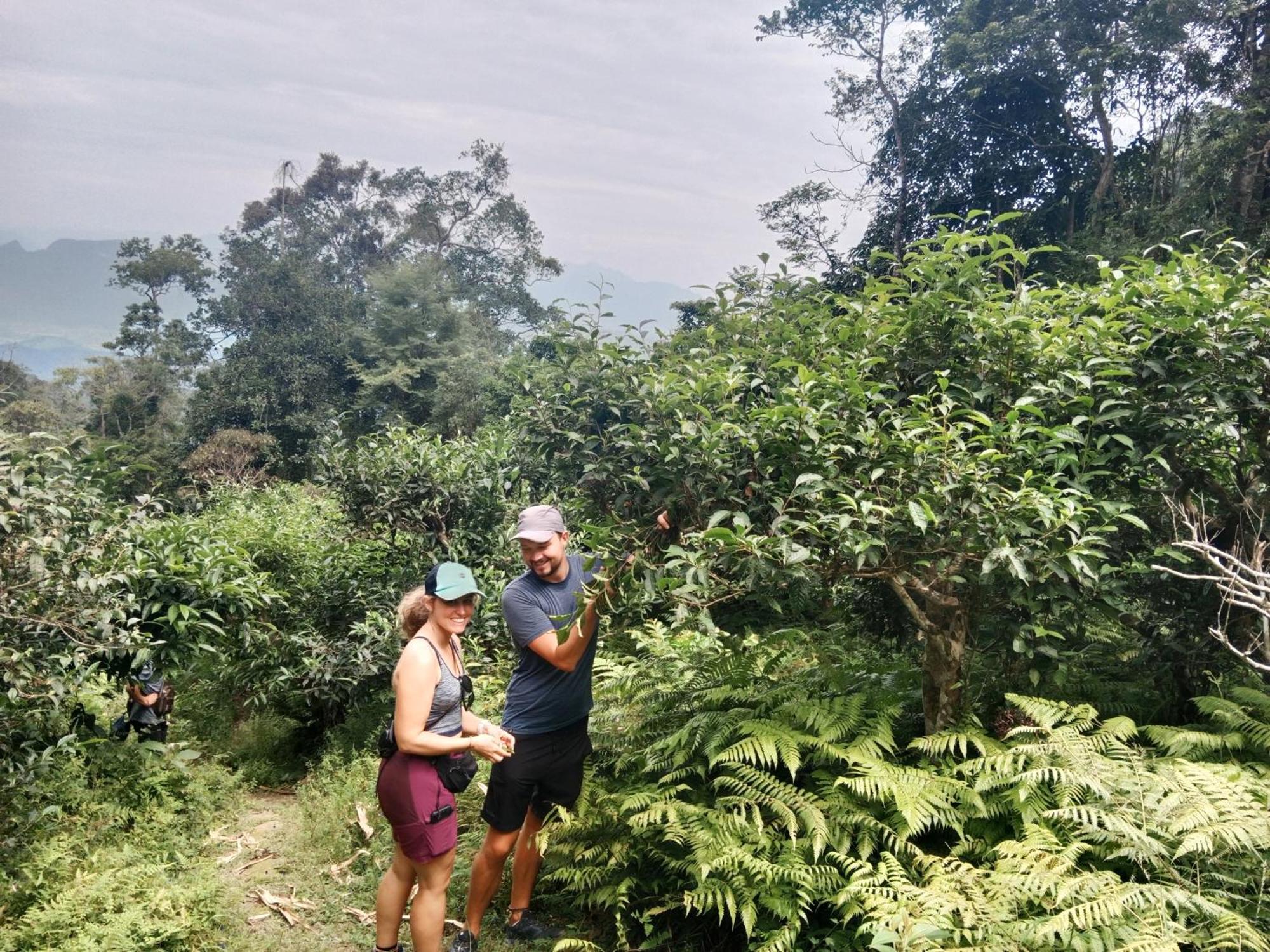 Hotel Ha Giang Yolo House And Loop Tours Esterno foto
